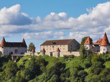 Blick von Österreich auf die Burghauser Burghöfe und den Burghang