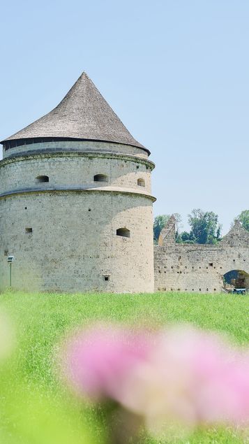 Pulverturm am Bergerhof mit Blüten
