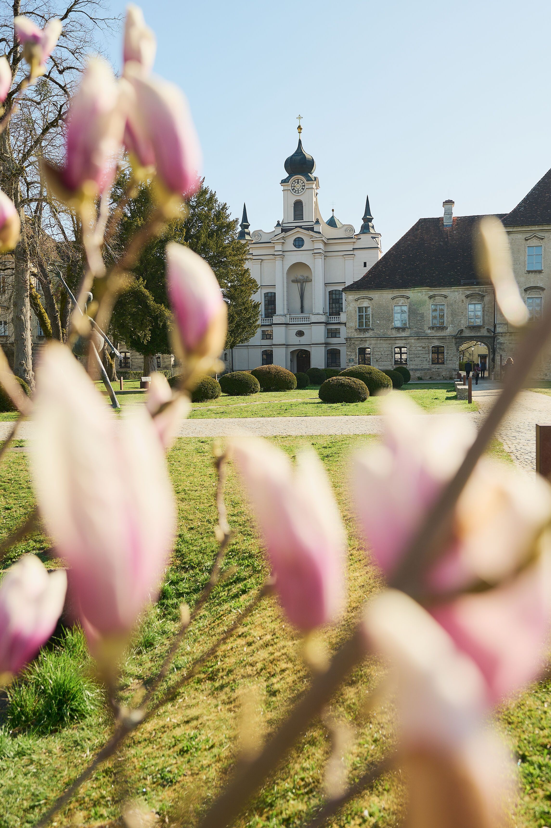 Klosterkirche Raitenhaslach mit Frühlingsblüte