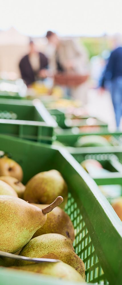 Beste Produkte aus der Region gibt es beim Wochenmarkt in der Messehalle.