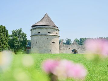Pulverturm am Bergerhof mit Blüten