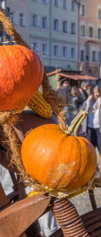 Gallimartk - beliebter Markt am vierten Oktober-Sonntag