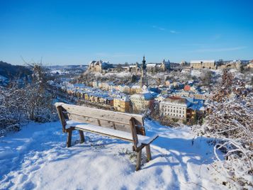 Altstadt und Burg im Winter