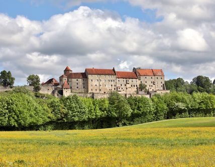 Blick auf die Hauptburg vom Bergerhofgelände.