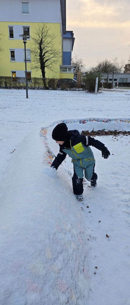 Mosaikschlange im Schnee