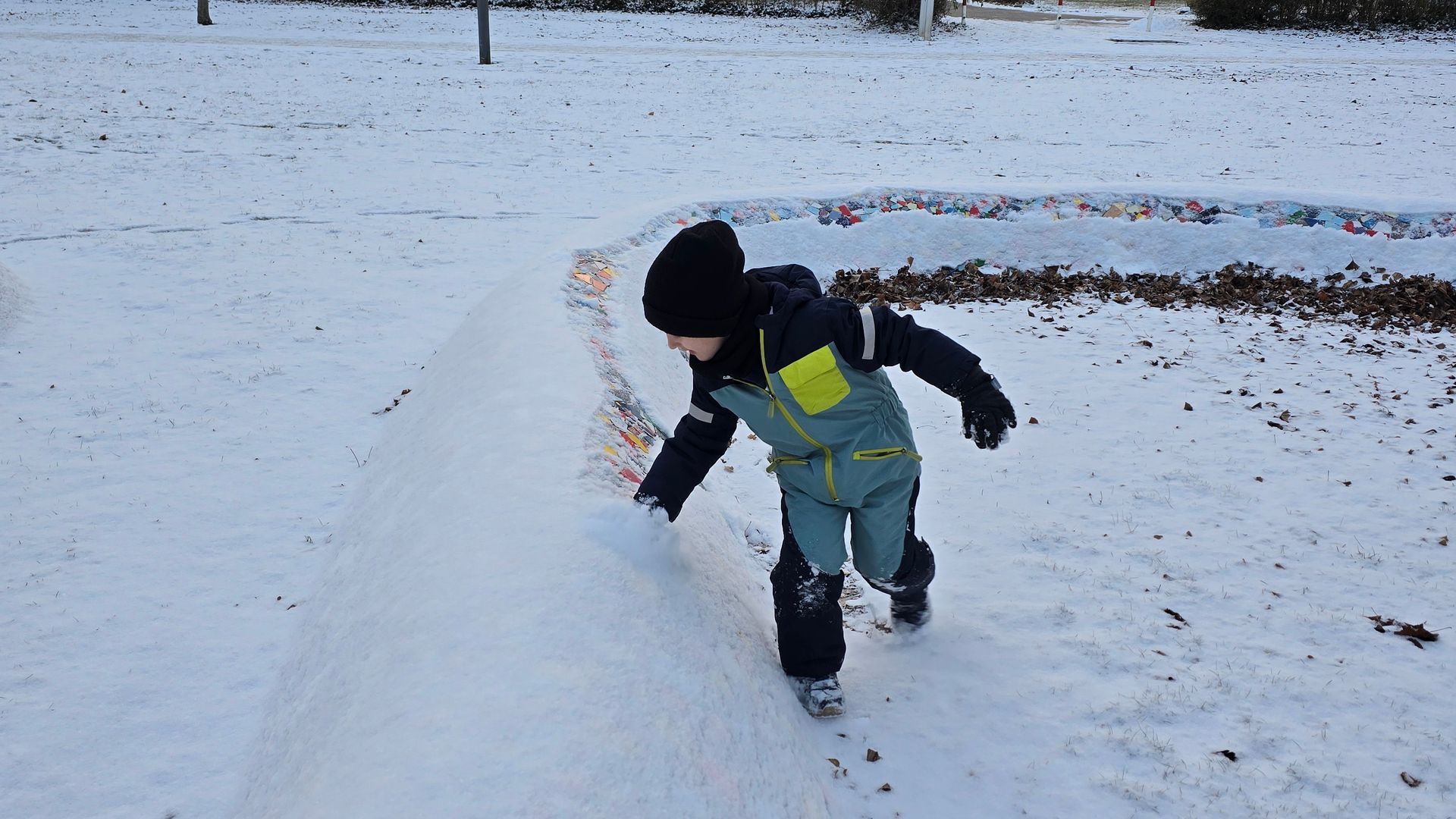 Mosaikschlange im Schnee