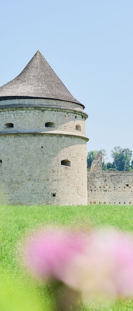 Pulverturm am Bergerhof mit Blüten